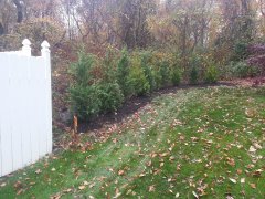 20141106_103515.jpg