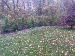 20141106_103542.jpg