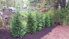 20160507_101632.jpg