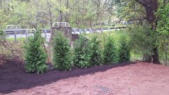 20160507_101642.jpg